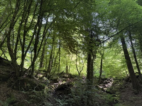 Geiselberg - Heltersbeg