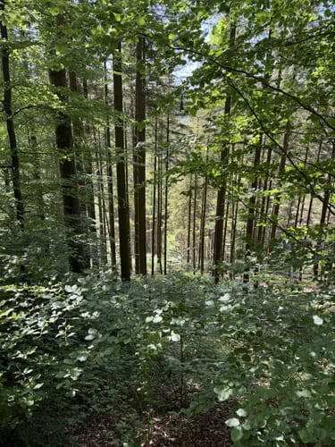 Geiselberg - Heltersbeg