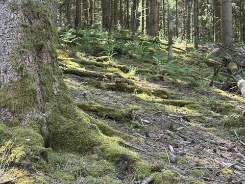 Geiselberg - Heltersbeg