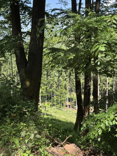 Geiselberg - Heltersbeg