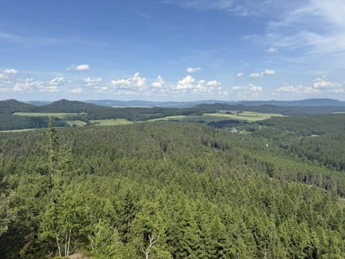 Durch einsame Wälder zu felsigen Aussichtskanzeln