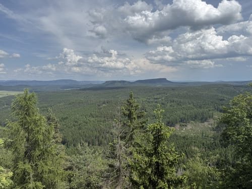Durch einsame Wälder zu felsigen Aussichtskanzeln