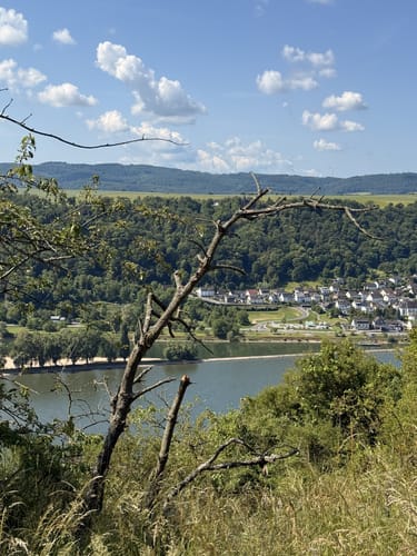 Spayer BlickinsTal (Premiumspazierwanderweg)