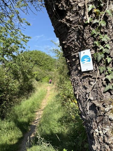 Spayer BlickinsTal (Premiumspazierwanderweg)
