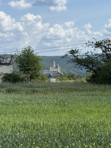 Spayer BlickinsTal (Premiumspazierwanderweg)