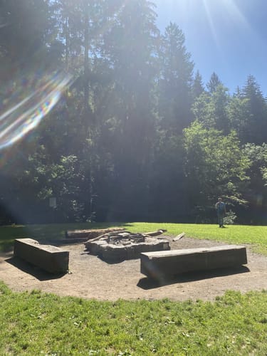 Waldkugelbahn Weg