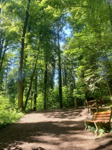 Waldkugelbahn Weg