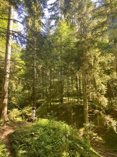 Waldkugelbahn Weg