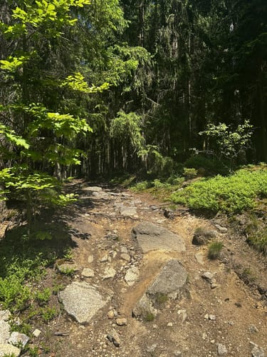 Kirchenlamitz - Wackelstein - Schönburgwarte Rundwanderung
