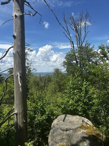 Kirchenlamitz - Wackelstein - Schönburgwarte Rundwanderung