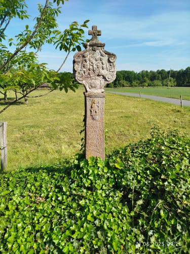 Waldleiningen - Limespfad
