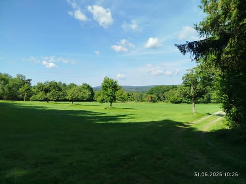 Waldleiningen - Limespfad