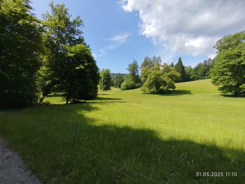 Waldleiningen - Limespfad