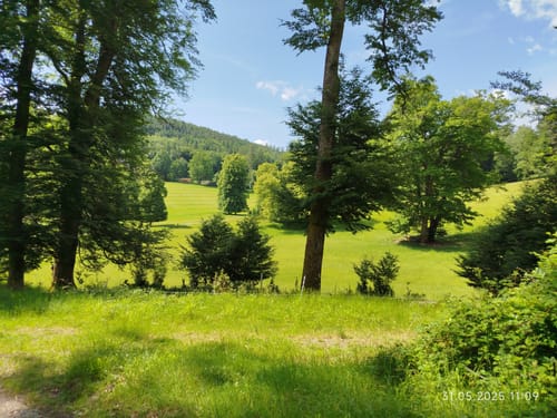 Waldleiningen - Limespfad
