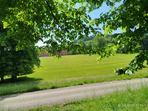 Waldleiningen - Limespfad
