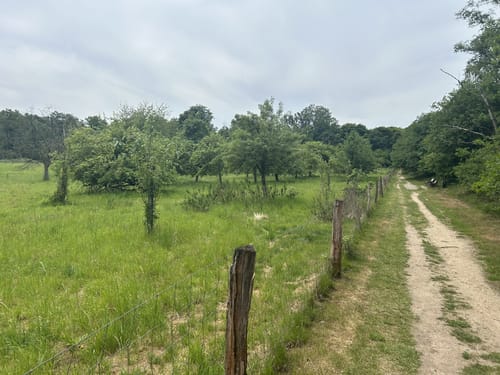 Pieterpad Etappe 2.3: Braamt - Millingen aan de Rijn