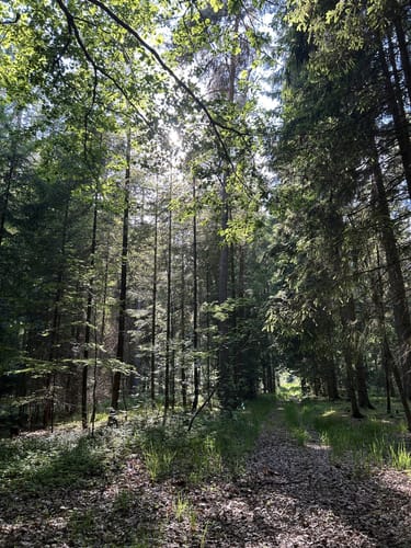 Rund um den Mariahilfberg