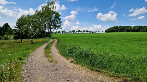 Kammweg Erzgebirge-Vogtland Etappe 2: Holzhau - Sayda