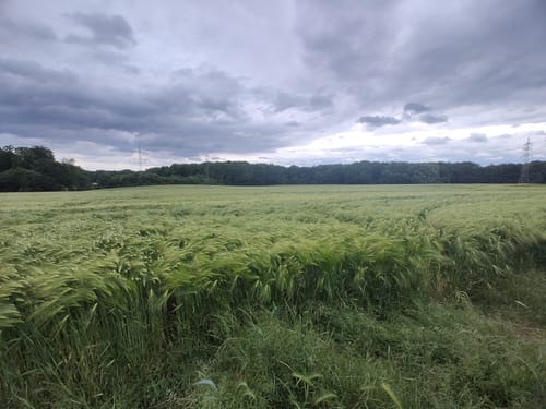 Rund ums Ölbachtal