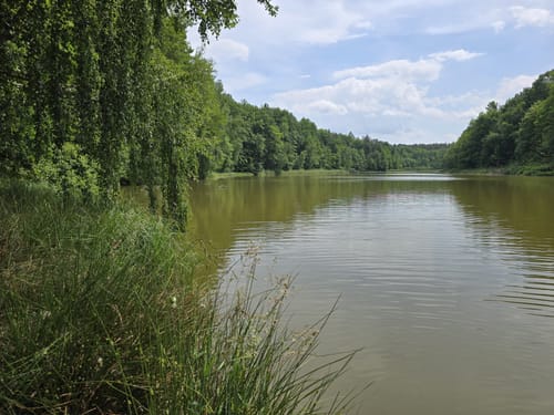 Runde um den Ihlandsee