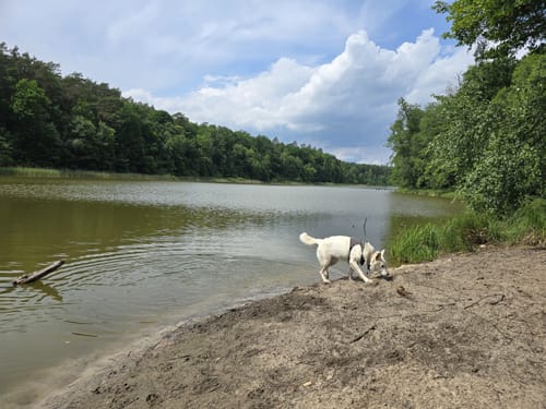 Runde um den Ihlandsee