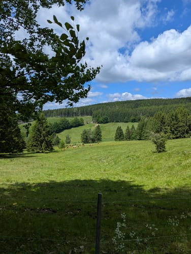 Rundwanderweg Struth-Helmershof - Rennsteig
