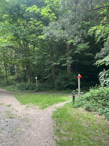 Pieterpad Etappe 2.3: Braamt - Millingen aan de Rijn