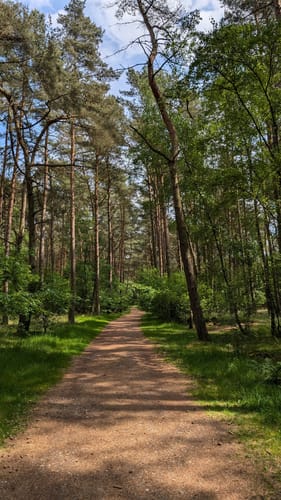 Über die Holmer Sandberge und entlang dem Feuerlöschteich