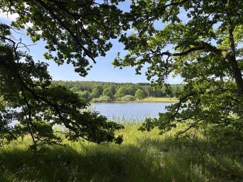 Vulkanring Vogelsberg Etappe 5: Herbstein - Ulrichstein