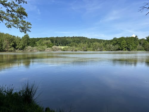 Vulkanring Vogelsberg Etappe 5: Herbstein - Ulrichstein