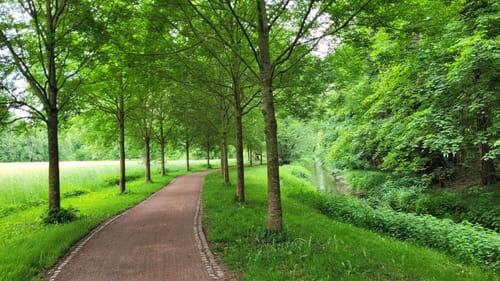 Strehla - Zeithain - Großenhain