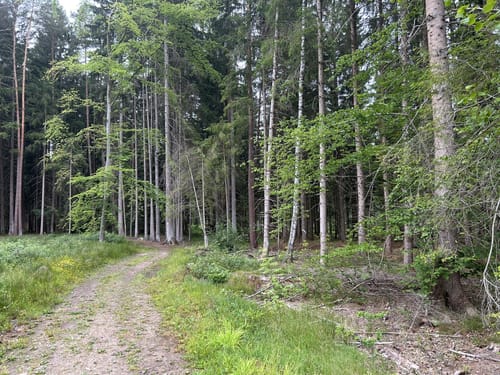 Wagensass bei Sulzbach