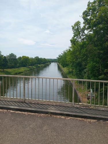 Altneckarrunde NSG Pleidelsheimer Wiesental