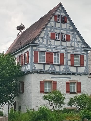 Altneckarrunde NSG Pleidelsheimer Wiesental