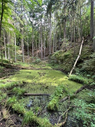 Wendelstein - Wernloch