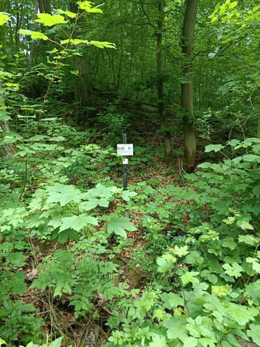 Leiterweg und Adlershorst