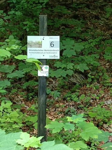 Leiterweg und Adlershorst