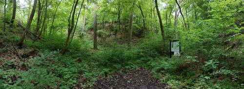 Leiterweg und Adlershorst