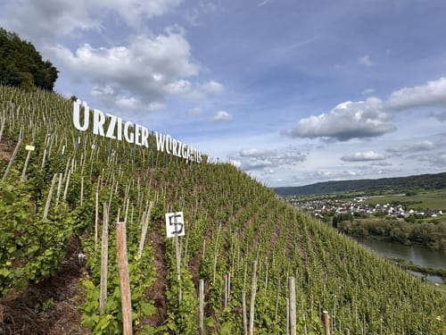 Von Ürzig zum Leizenberg und dem Moselblick