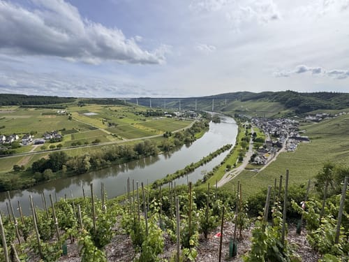 Von Ürzig zum Leizenberg und dem Moselblick