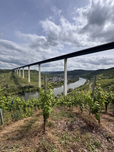 Von Ürzig zum Leizenberg und dem Moselblick