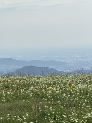 Rundkurs Kandel Rotwasserweg