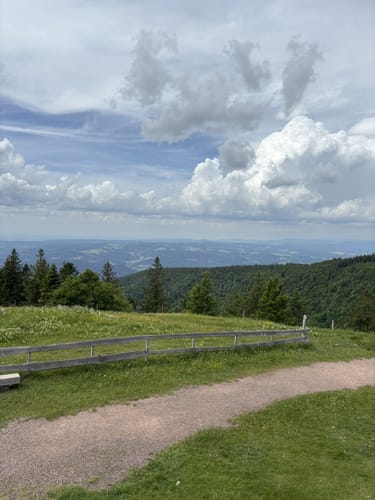 Rundkurs Kandel Rotwasserweg