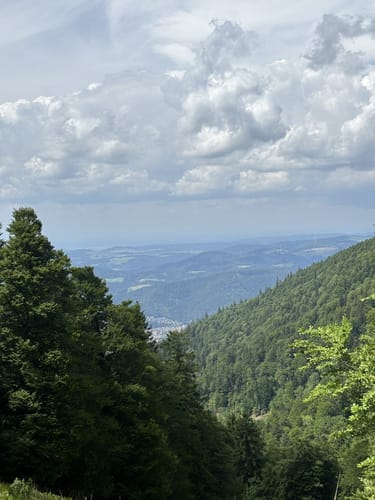 Rundkurs Kandel Rotwasserweg