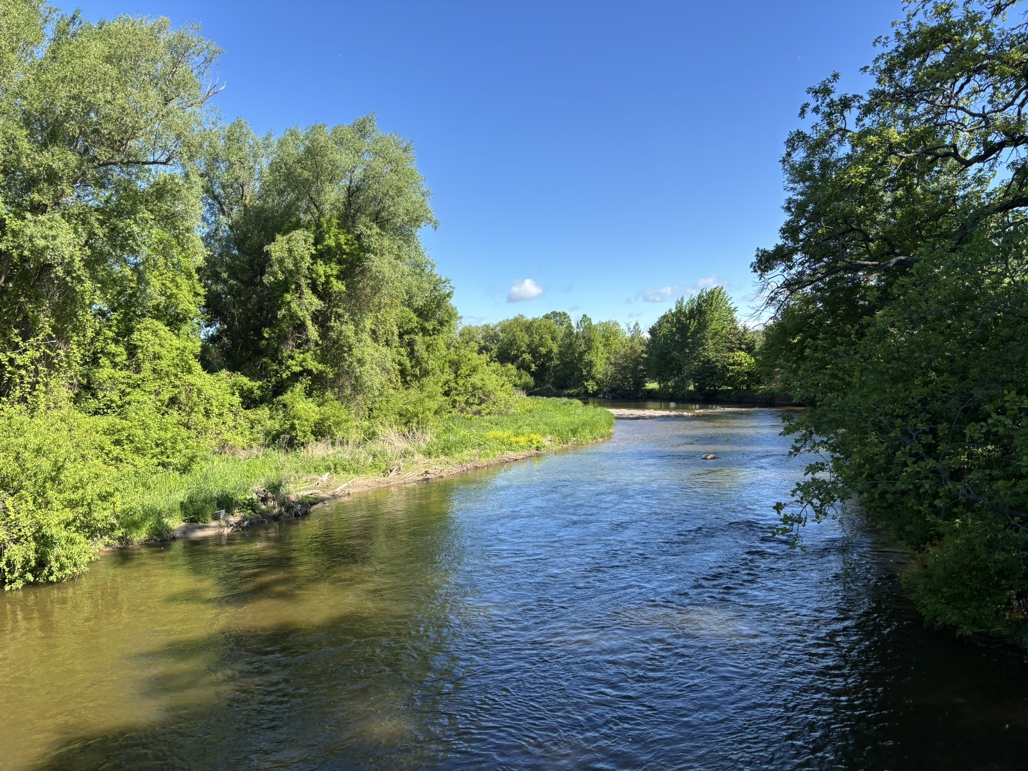 Nature walk through Culham Trail Mississauga along Credit River