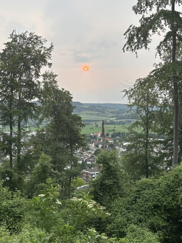 Naturlernpfad am Schildberg