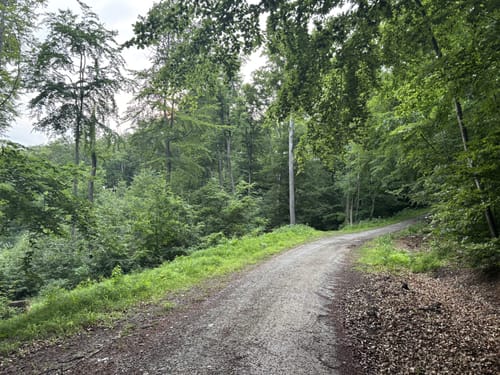 Naturlernpfad am Schildberg