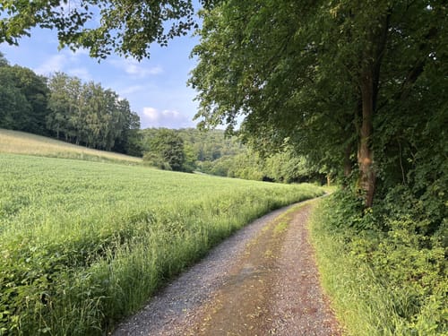 Naturlernpfad am Schildberg