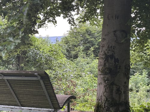 Naturlernpfad am Schildberg
