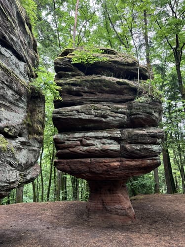 Felsenwald (Premiumwanderweg)